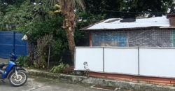 Lot For Sale in West Fairview, Quezon City