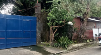 Lot For Sale in West Fairview, Quezon City