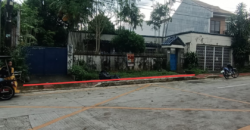 Lot with Old House for Sale in West Fairview, Quezon City