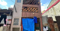 For Sale 4 Storey Apartment in Litex Brgy. Commonwealth, Quezon City