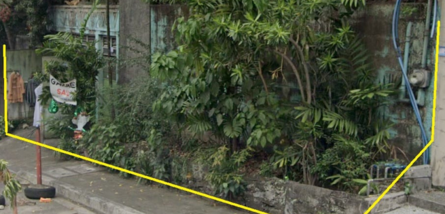 Lot with Old house For Sale in Brgy. Kalusugan, New Manila, Quezon City