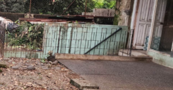 Lot with Old house For Sale in Brgy. Kalusugan, New Manila, Quezon City