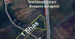 Hectare Agricultural Lot for Sale in Zaragoza, Nueva Ecija