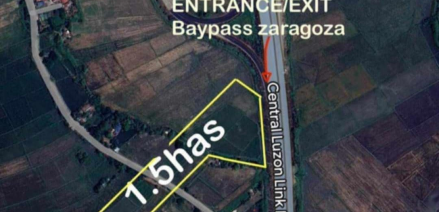 Hectare Agricultural Lot for Sale in Zaragoza, Nueva Ecija