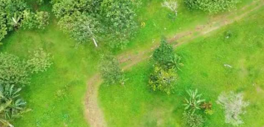 Agricultural Residential Lot For Sale in Amadeo, Cavite