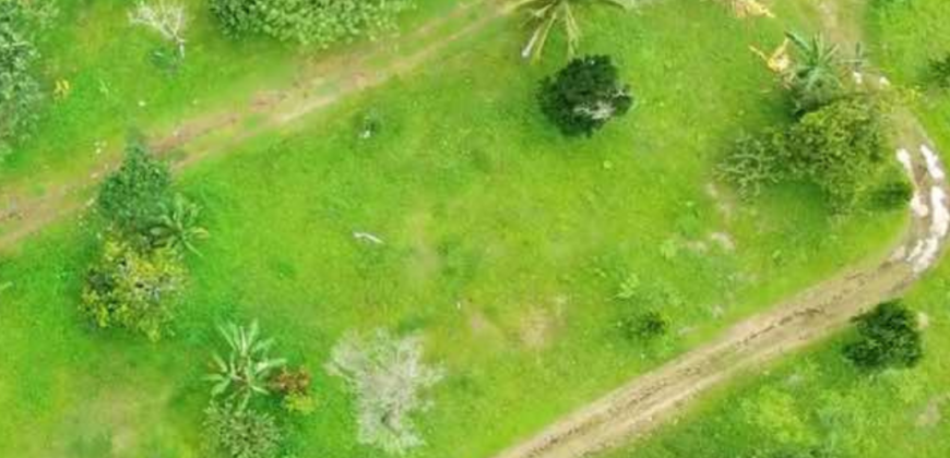 Agricultural Residential Lot For Sale in Amadeo, Cavite