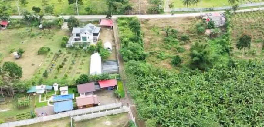 Agricultural Residential Lot For Sale in Amadeo, Cavite