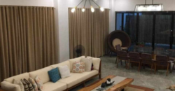 Fully furnished House and Lot Tropical Design for Sale in Villa Vienna Neopolitan, Fairview, Quezon City