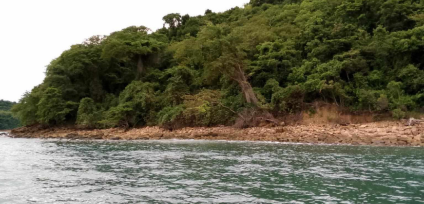 Beach Lot for Sale in Bulalacao, Mindoro