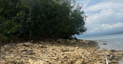 Beach Lot for Sale in Bulalacao, Mindoro