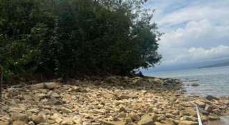 Beach Lot for Sale in Bulalacao, Mindoro