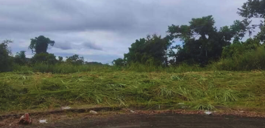 Premium Lot for Sale in Sun Valley Golf & Residential Estates, Antipolo City, Rizal (Upper Skyway)