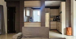 3 Storey House and Lot For Sale in Greenview Executive Village, West Fairview, Quezon City