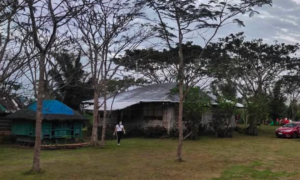 Residential Lot for Sale in Buho, Amadeo, Cavite