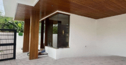 Brand New Modern Tropical House and Lot for Sale in Neopolitan, Fairview, Quezon City