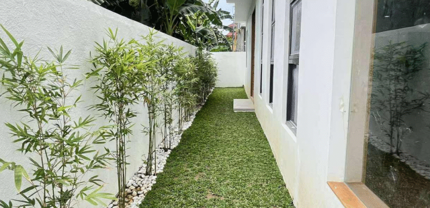 Brand New Modern Tropical House and Lot for Sale in Neopolitan, Fairview, Quezon City