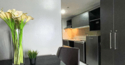 Fully Furnished Studio Unit for Sale or Long Term Lease in Torre Lorenzo Malate, Manila