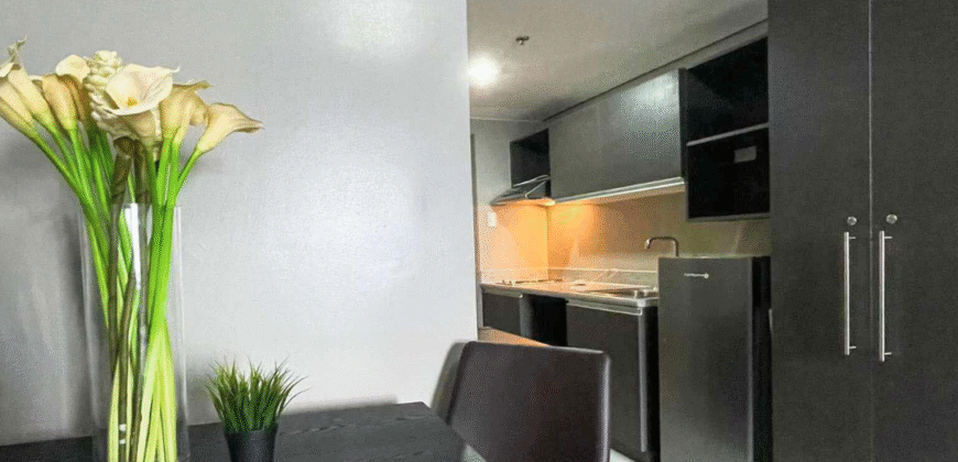 Fully Furnished Studio Unit for Sale or Long Term Lease in Torre Lorenzo Malate, Manila
