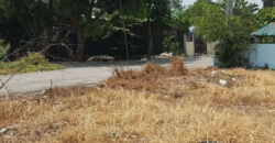 Residential Lot for Sale in Dreamcrest Subdivision, Calumpit, Bulacan