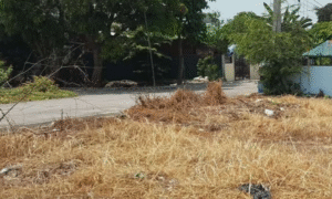Residential Lot for Sale in Dreamcrest Subdivision, Calumpit, Bulacan