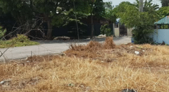 Residential Lot for Sale in Dreamcrest Subdivision, Calumpit, Bulacan