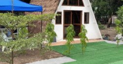 1.5 Hectare Agricultural Farm Lot for Sale in San Felipe, Zambales