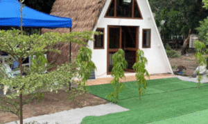 1.5 Hectare Agricultural Farm Lot for Sale in San Felipe, Zambales