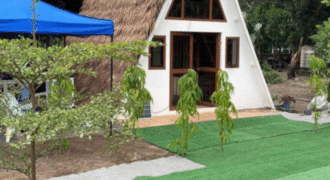 1.5 Hectare Agricultural Farm Lot for Sale in San Felipe, Zambales