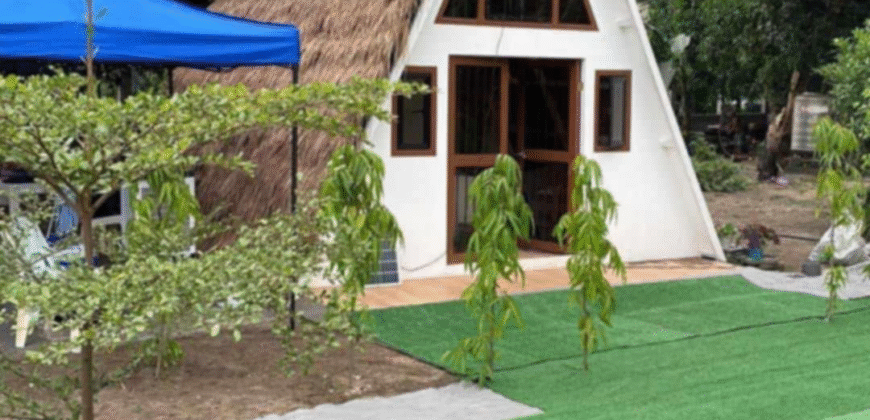 1.5 Hectare Agricultural Farm Lot for Sale in San Felipe, Zambales