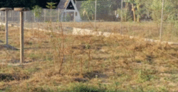 1.5 Hectare Agricultural Farm Lot for Sale in San Felipe, Zambales