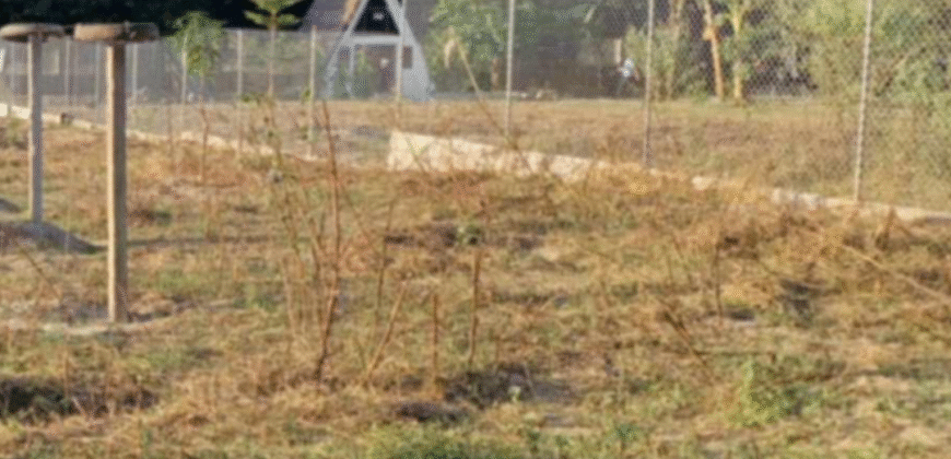 1.5 Hectare Agricultural Farm Lot for Sale in San Felipe, Zambales