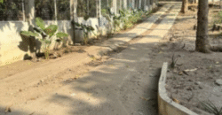 1.5 Hectare Agricultural Farm Lot for Sale in San Felipe, Zambales