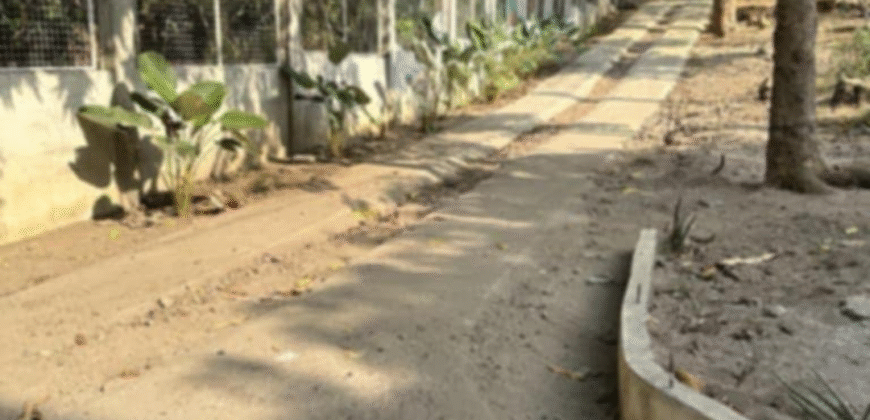 1.5 Hectare Agricultural Farm Lot for Sale in San Felipe, Zambales