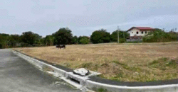Residential Corner Lot for Sale in Athena Classique Imus, Cavite