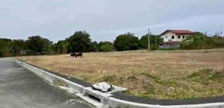 Residential Corner Lot for Sale in Athena Classique Imus, Cavite