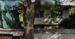 Commercial Lot for Sale in Kamuning, Quezon City