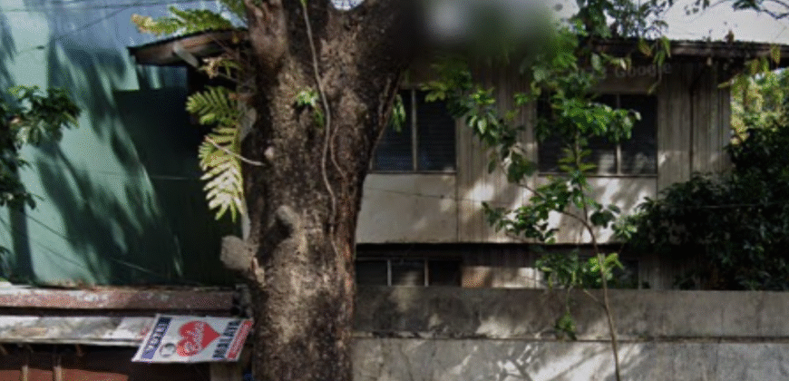 Commercial Lot for Sale in Kamuning, Quezon City