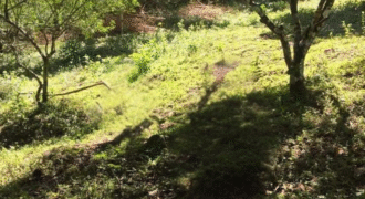 Farm Lot for Sale in Siniloan, Laguna
