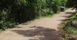 Farm Lot for Sale in Siniloan, Laguna