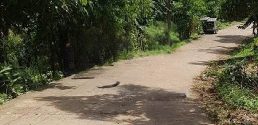 Farm Lot for Sale in Siniloan, Laguna